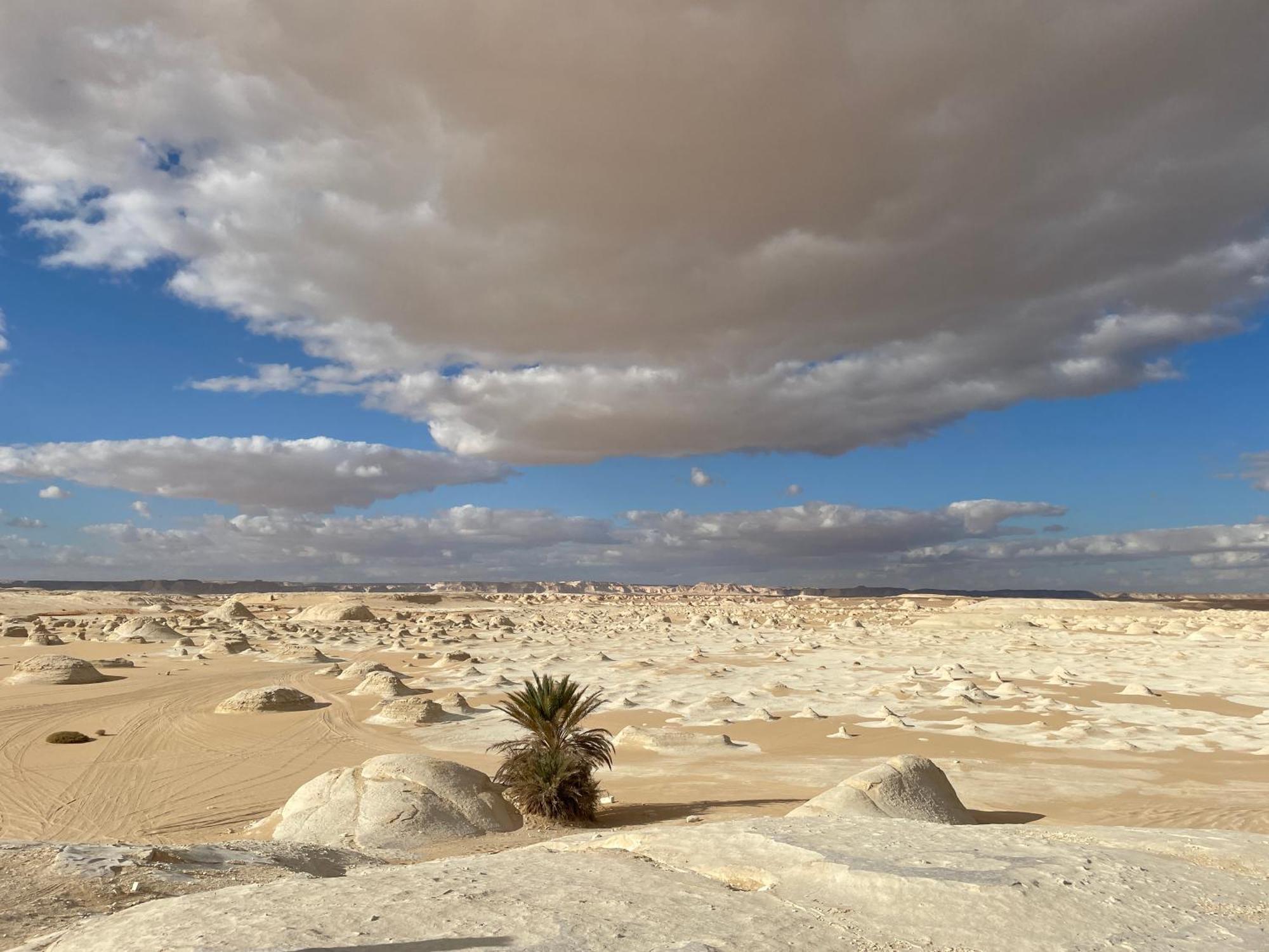 Safari Camp Bahariya Oasis Ξενοδοχείο Bawati Εξωτερικό φωτογραφία